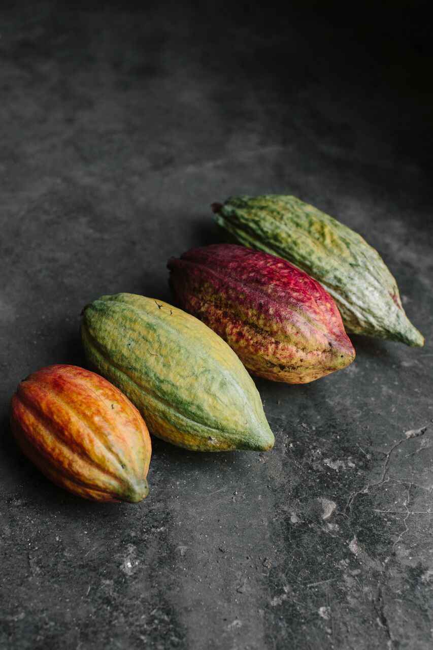 Tipo de cacao: Criollo/Trinitario. Origen Único. Región: Soconusco, Chiapas, México.